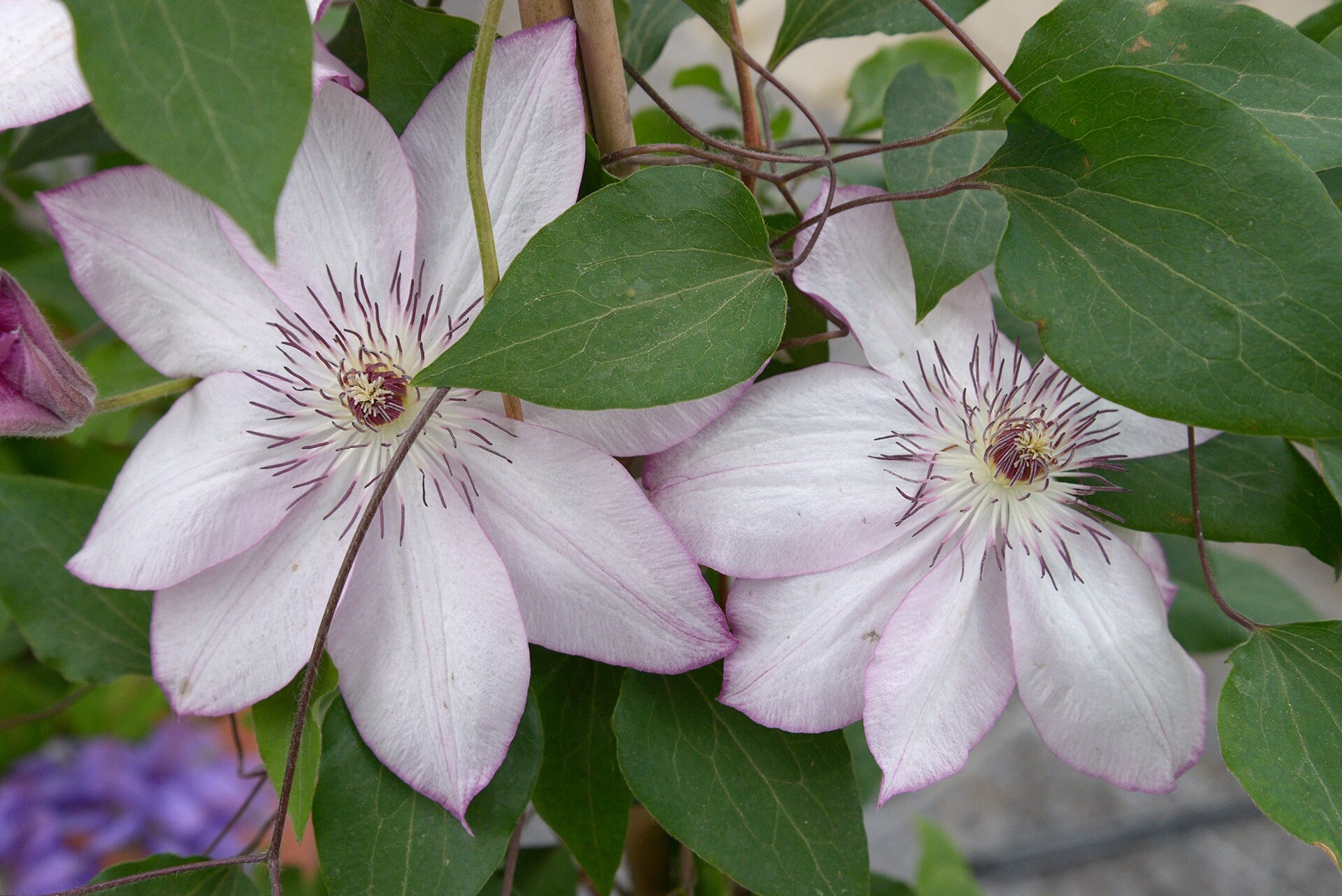 Die besten Tipps für einen unvergesslichen Familienurlaub