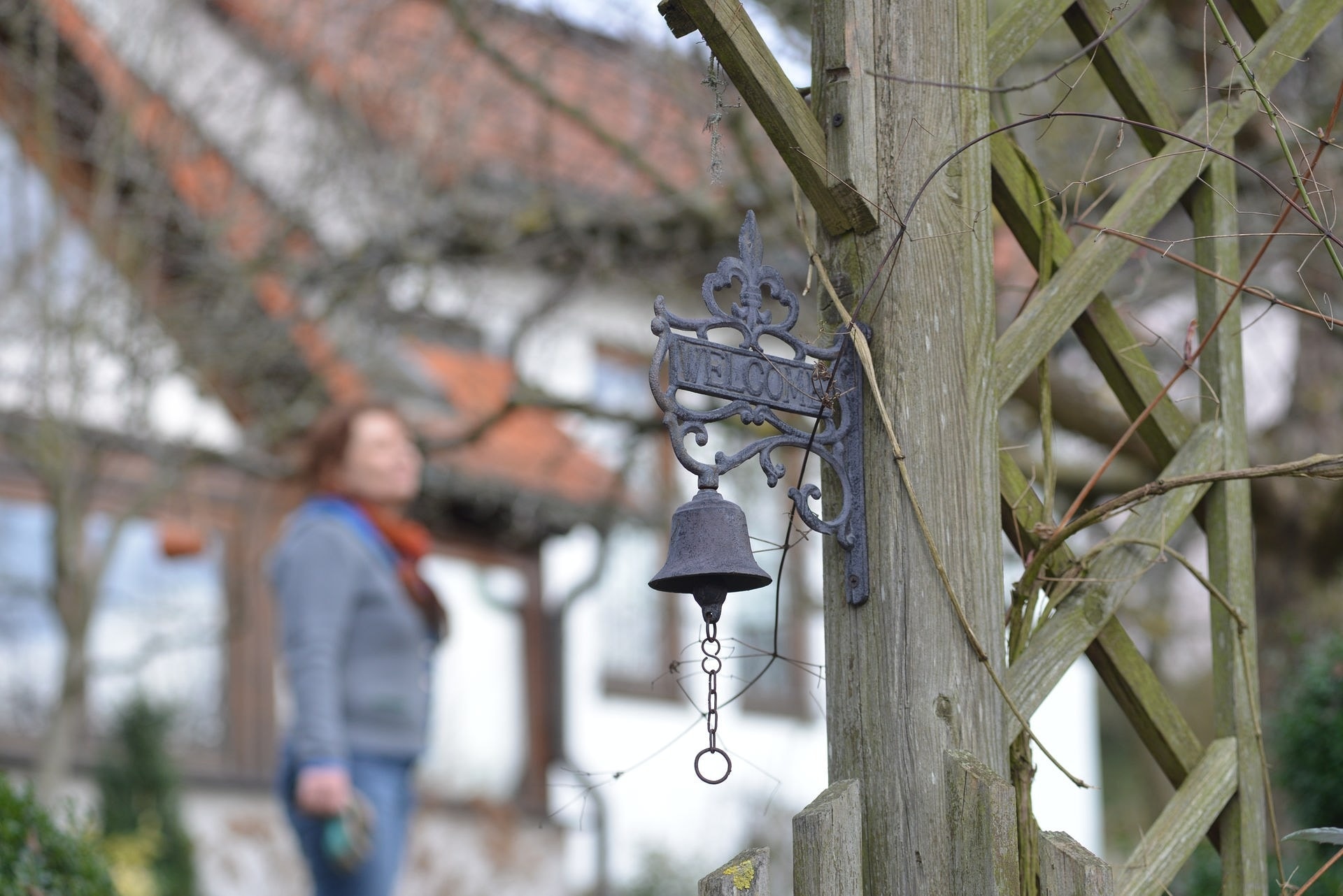 Hereinspaziert in Brigittes Garten MDR.DE
