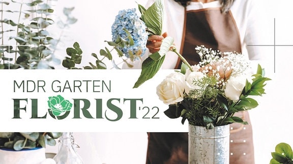 MDR Garten-Florist-Grafik