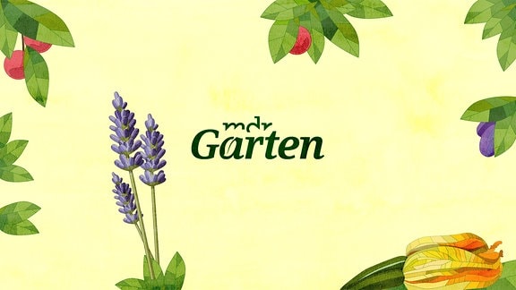 Logo MDR Garten