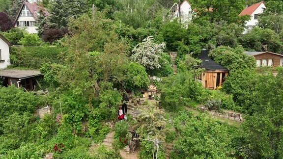 Ein Hanggarten auf drei Etagen MDR.DE
