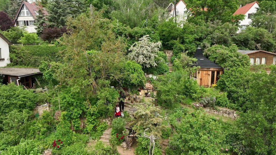 Ein Hanggarten auf drei Etagen MDR.DE