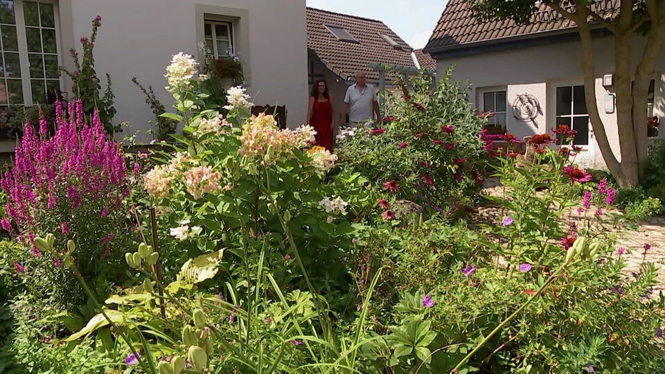 Staudengarten im Weimarer Land MDR.DE