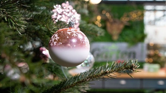 Eine Weihnachtskugel hängt in einen Weihnachtsbaum.