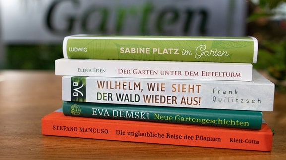 Fünf Bücher liegen auf einem Stapel.