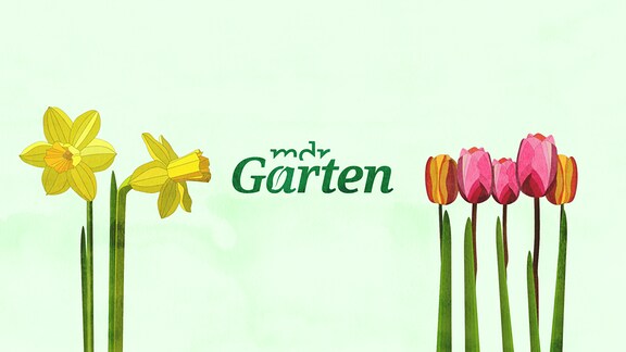 Logo im Frühlingsdesign MDR Garten. 