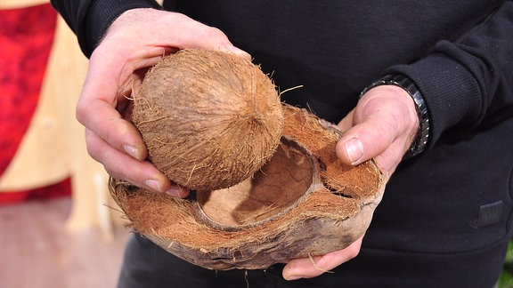 In jeweils einer Hand hält ein Mann eine halbe Kokosnuss und eine ganze Kokosnuss