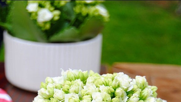 In einem Becher aus dunkelgrünem Glas steht ein kleiner Strauß weißer Blumen auf einem Holztisch im Freien