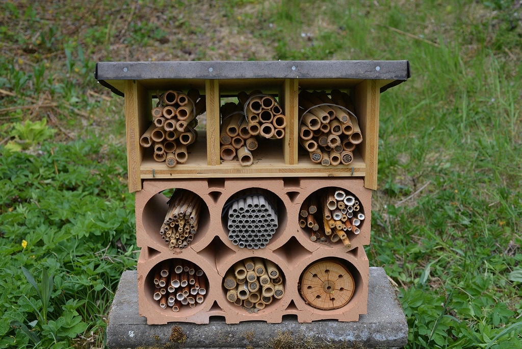 Eine Nisthilfe Aus Hohlen Stangeln Bauen Mdr De