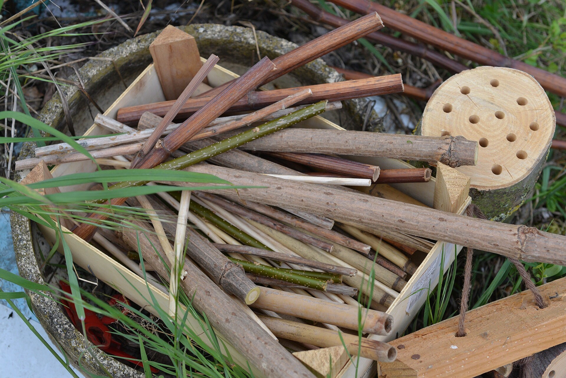 Eine Nisthilfe aus hohlen Stängeln bauen MDR.DE