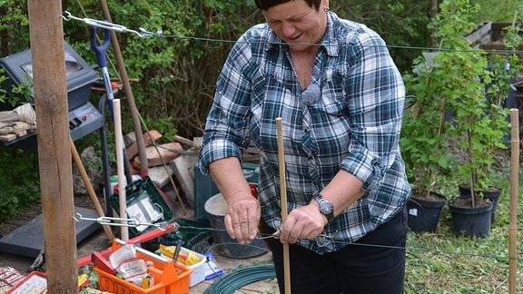 Obstbaumexpertin Monika Möhler befestigt einen Bambusstab am Spalier