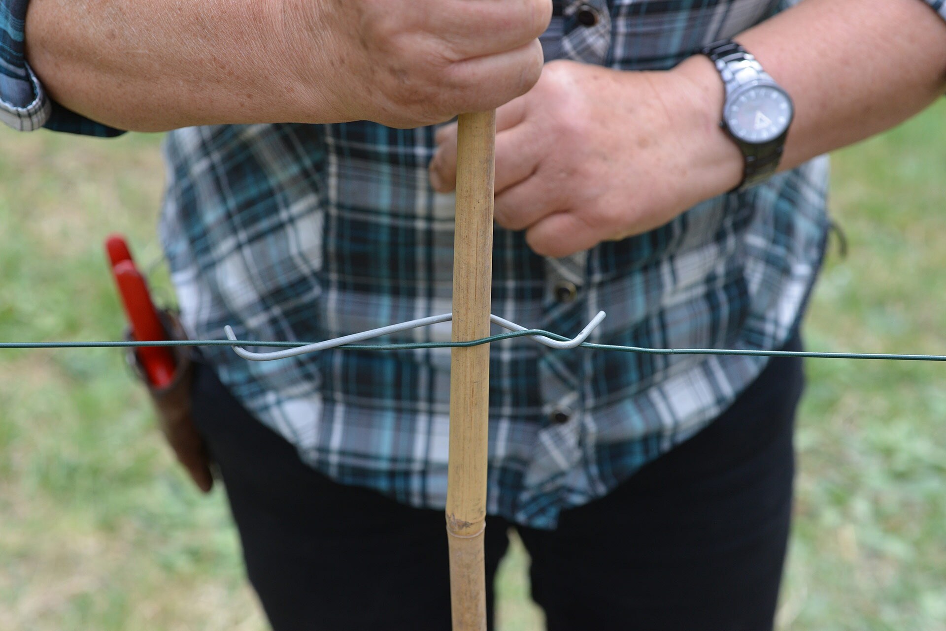 DIY Ein freistehendes Spalier für Obstgehölze bauen MDR.DE