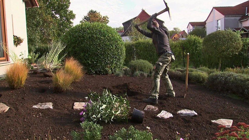 Der MDR Gartenmeister 2019 In grüner Mission für Sie unterwegs MDR.DE