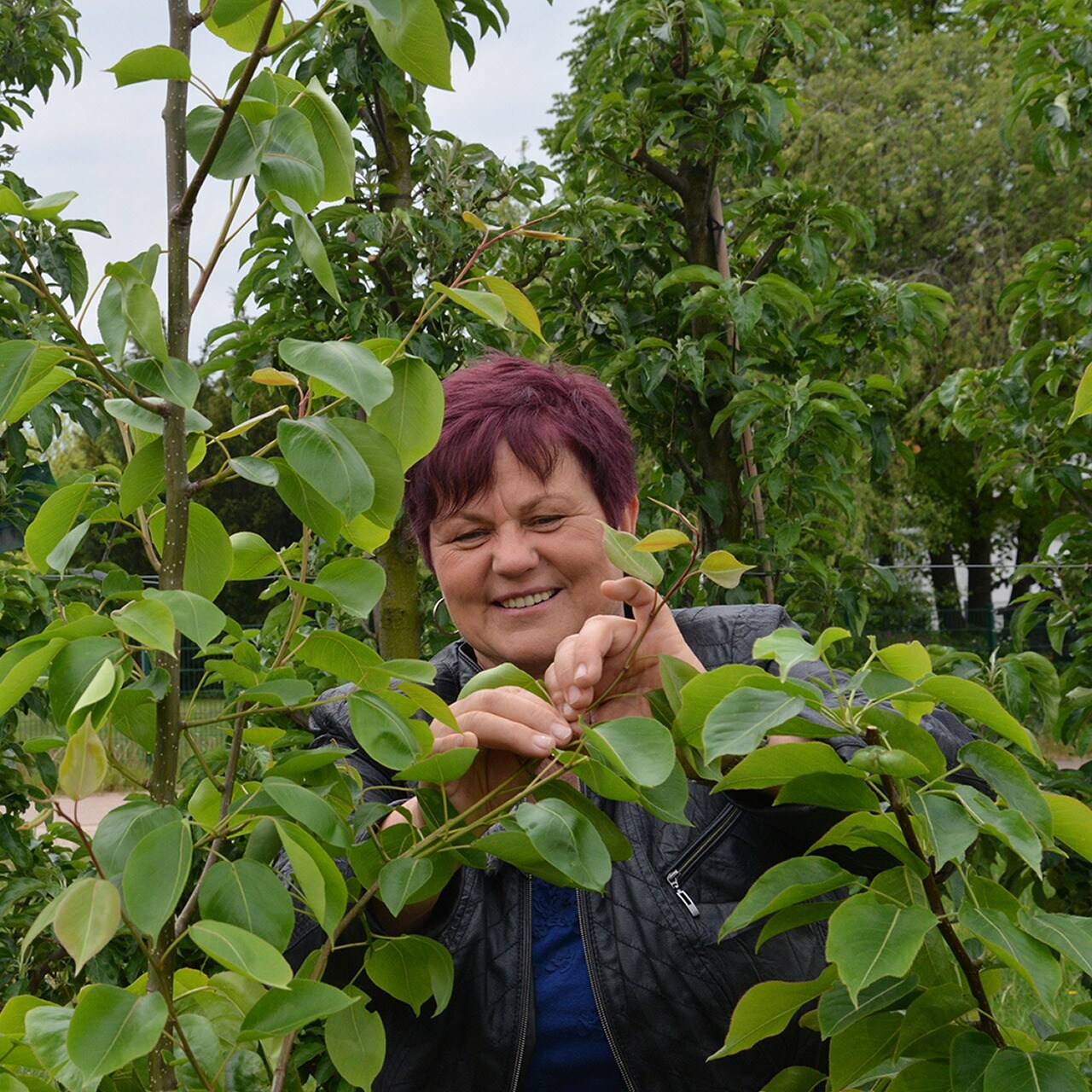 22+ nett Vorrat Garten Mdr / MDR Garten Ein Paradies für