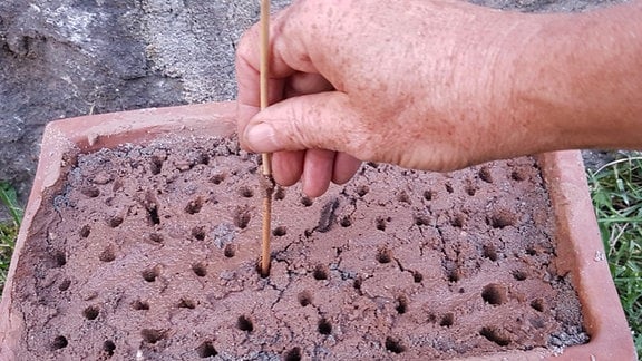 In einen Terrakottatopf wurde Lehm gefüllt. Mit einem Stock werden Löcher in den Lehm gebohrt. 