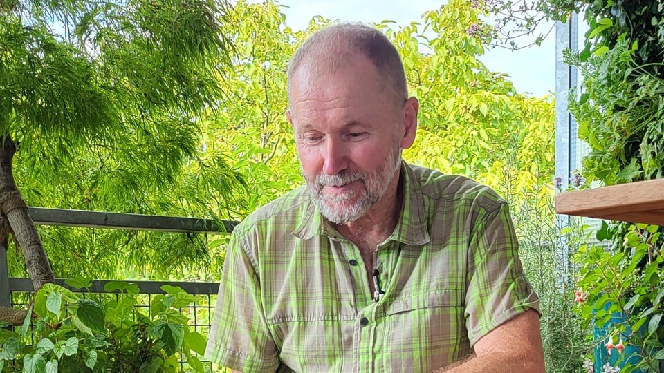 Ein Balkon mit hitzeverträglichen Stauden und Sukkulenten MDR.DE