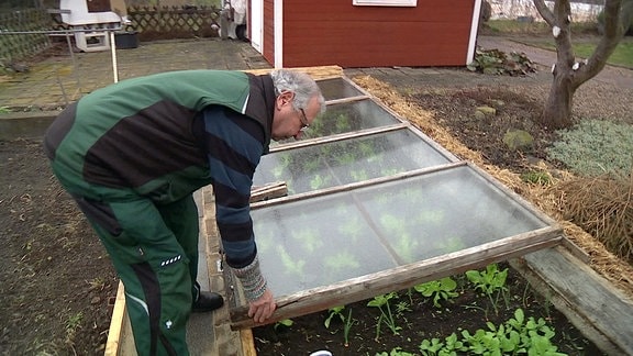 Warmbeet mit Mist anlegen, bepflanzen und pflegen MDR.DE