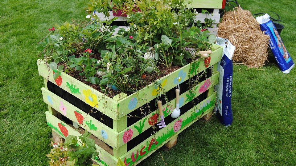 Welche Erde Fur Hochbeet Salat Erdbeeren Pflanzen Balkon Erde