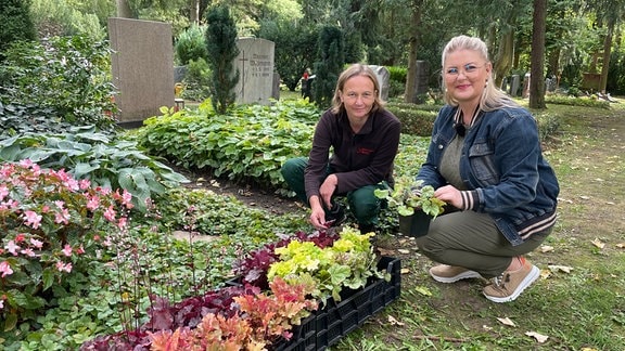 Friedhofgärtnerin Claudia Bartel und Moderatorin Diana Fritzsche-Grimmig bepflanzen ein Grab auf dem Erfurter Hauptfriedhof.