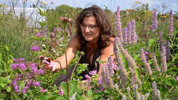Gartenbauingenieurin Cornelia Pacalaj hockt hinter einem blühenden Beet 