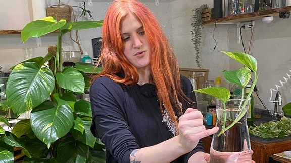 Zimmerpflanzen-Sammlerin Johanna Mayer zeigt Ableger von Efeutute