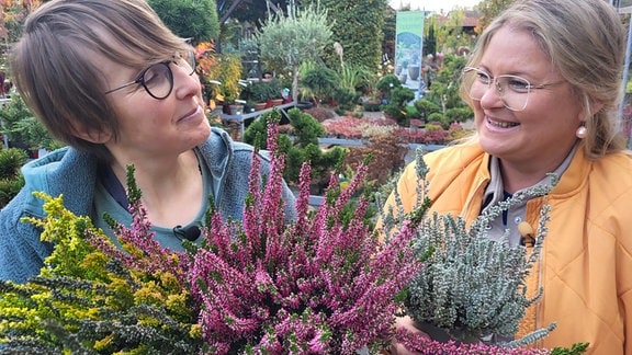 Gärtnerin Marie-Luise Krumbein und MDR-Moderatorin Diana Fritzsche-Grimmig mit Heidekrautpflanzen.