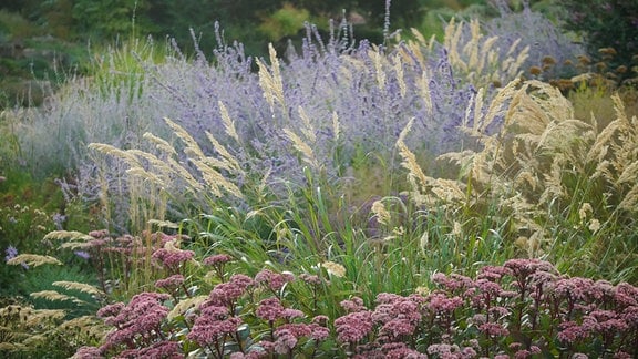 Blühendes Staudenbeet im Herbst im Egapark Erfurt.