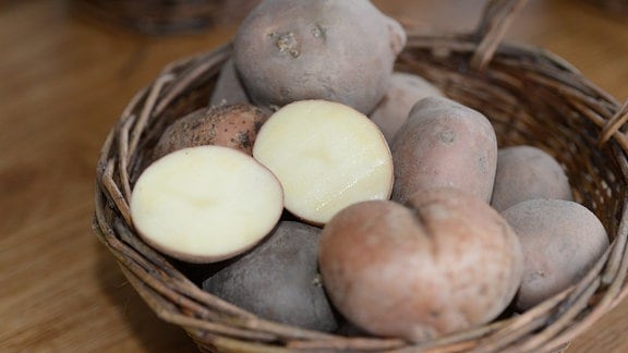 In einer Schale liegt die Kartoffelsorte Sarpo Mira. Eine Kartoffel ist aufgeschnitten.   