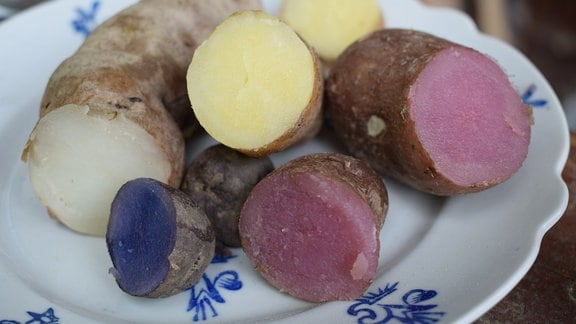 Verschiedene angeschnittene Kartoffeln mit buntem Fruchtfleisch auf einem Teller.