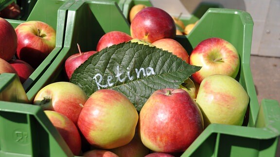 Blick auf eine Obstkiste mit Äpfeln. Daneben und dahinter sind weitere Obstkisten zu erkennen. 