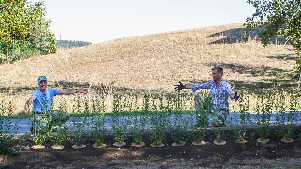 Der MDR Gartenmeister In grüner Mission unterwegs MDR.DE