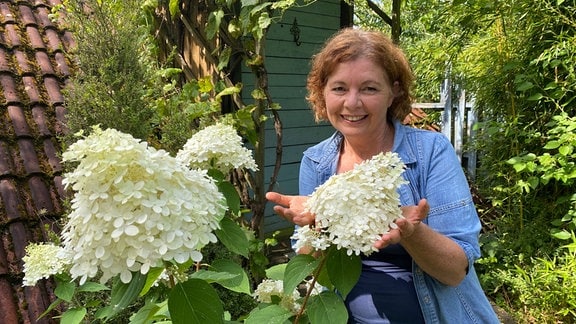 Eine Frau hält einen großen, weißen Blütenball einer Rispenhortensie auf ihrer Hand.