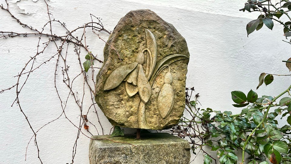 Gartenrätsel Die aktuelle Preisfrage MDR.DE