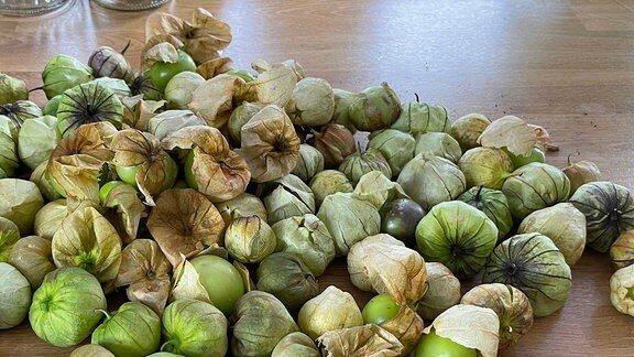 Auf einem Tisch liegen viele Tomatillos - kleine, grüne, runde Früchte in einer lampionähnlichen Hülle.
