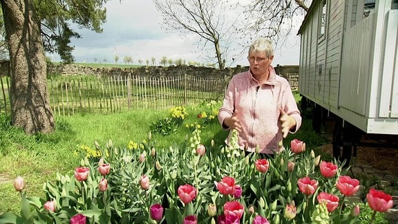 Die Gärtnerin Jolanda van Amerom sitzt hinter ihrem Tulpenbeet in ihrem Schaugarten.