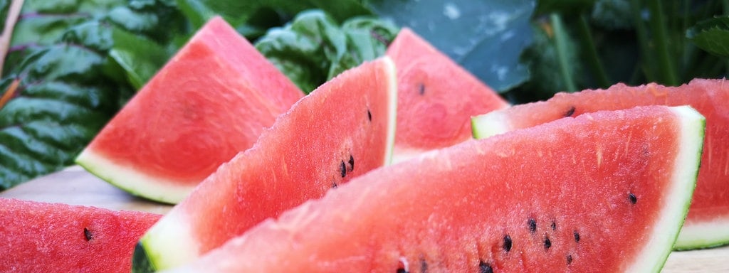 Wassermelonen Im Garten Anbauen Pflegen Und Ernten Mdr De