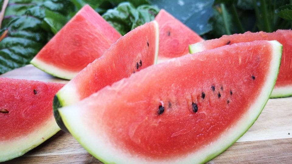 Wassermelonen Im Garten Anbauen Pflegen Und Ernten Mdr De