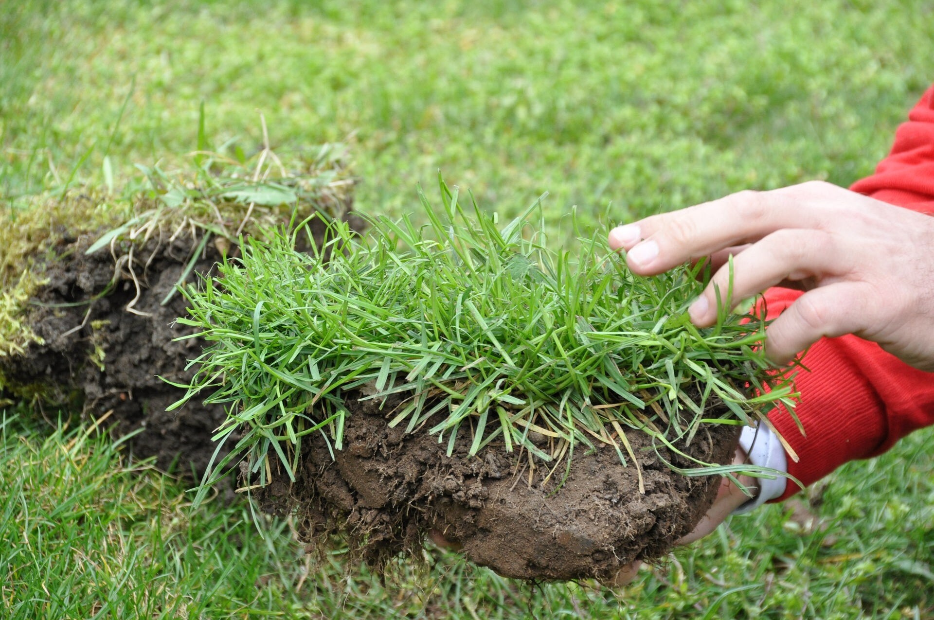 Rund um den Rasen MDR.DE