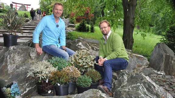 Rhododendron Experte Holger Hachmann und MDR-Moderator Jens Haentzschel sitzen hinter Rhododendron-Pflanzen auf Steinen im Egapark Erfurt. 