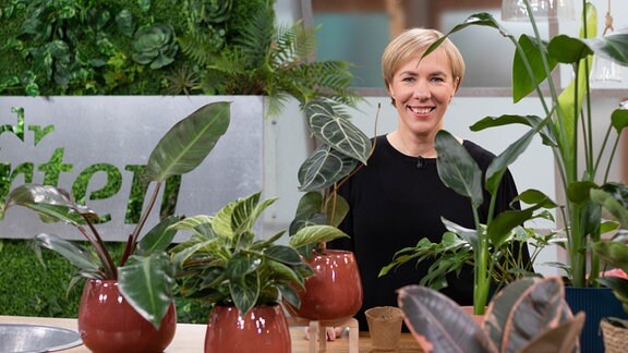 Zimmerpflanzenexpertin Sonja Dümmen zeigt Trendpfanzen