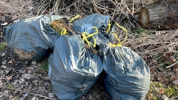 Gartenabfälle und Plastesäcke liegen auf einer illegalen Müllkippe im Wermsdorfer Wald.