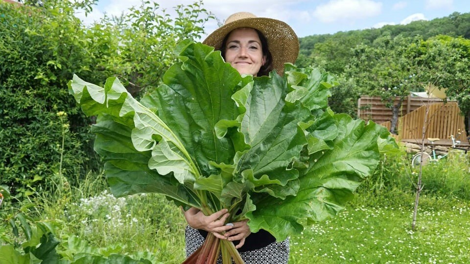 24. Juni ist Johannistag Was jetzt im Garten zu tun ist