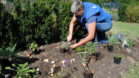 Gärtnereibetreiberin Jolanda van Amerom pflanzt Stauden und Blumenzwiebeln