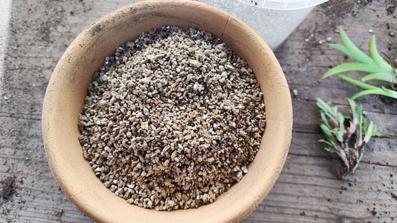 mit Vermiculite auffüllen oder mit Aussaaterde-Sandgemisch