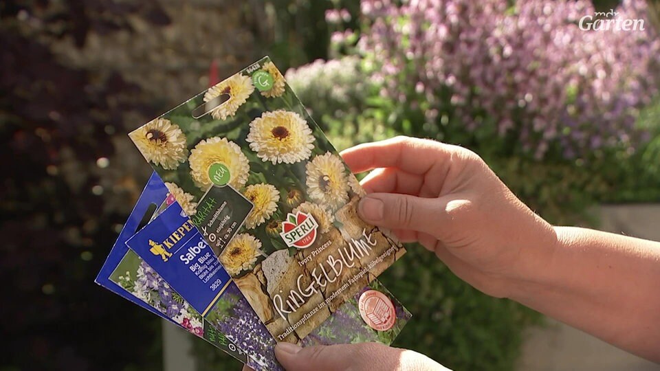 Ringelblumen füllen Lücken im bienenfreundlichen Hochbeet MDR.DE