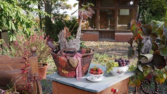 Ein mit Wein und Erdbeeren bepflanzter Wäschekorb mit Laub und Rinde.