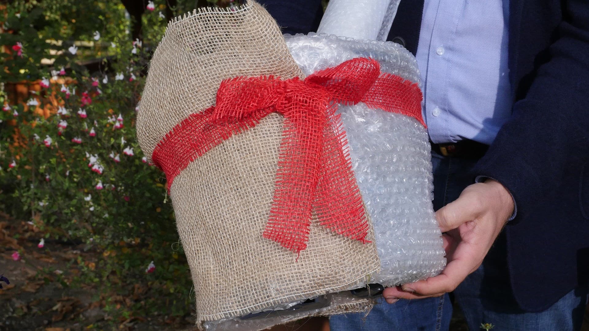 Beeren im Kübel überwintern MDR.DE