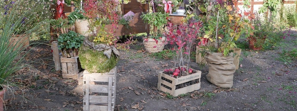 Beeren Im Kubel Uberwintern Mdr De