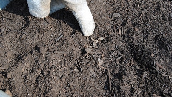 Mikroplastik in gekauftem Kompost  