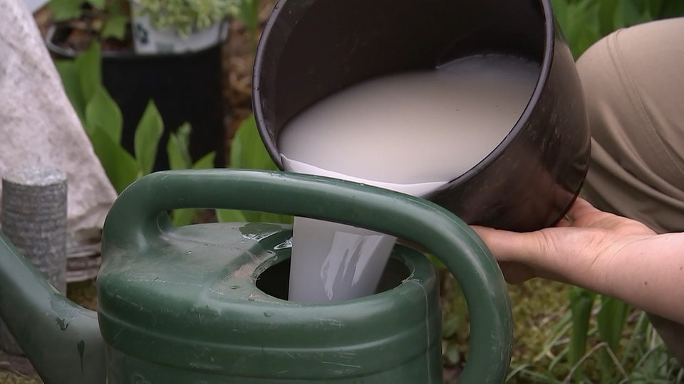 Make Your Own Compost Accelerator - How To Make Compost Ripens Faster 1 DIY: Bio-Kompostbeschleuniger einfach selber machen | MDR.DE